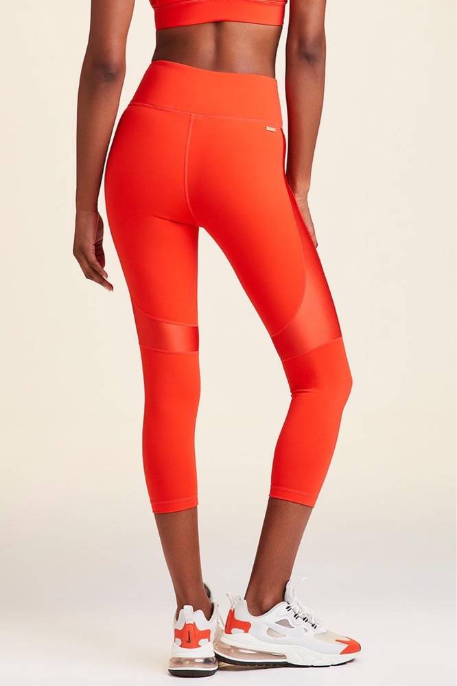 Alala - Crop Vamp Tight - Image 2
