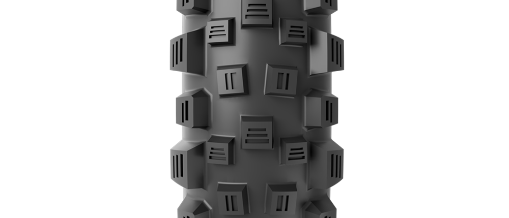 cover_image