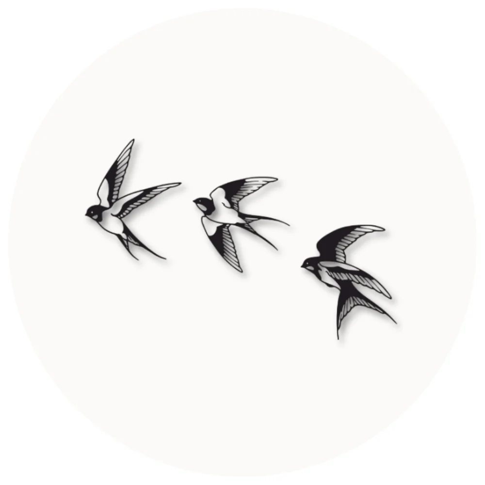cover_image