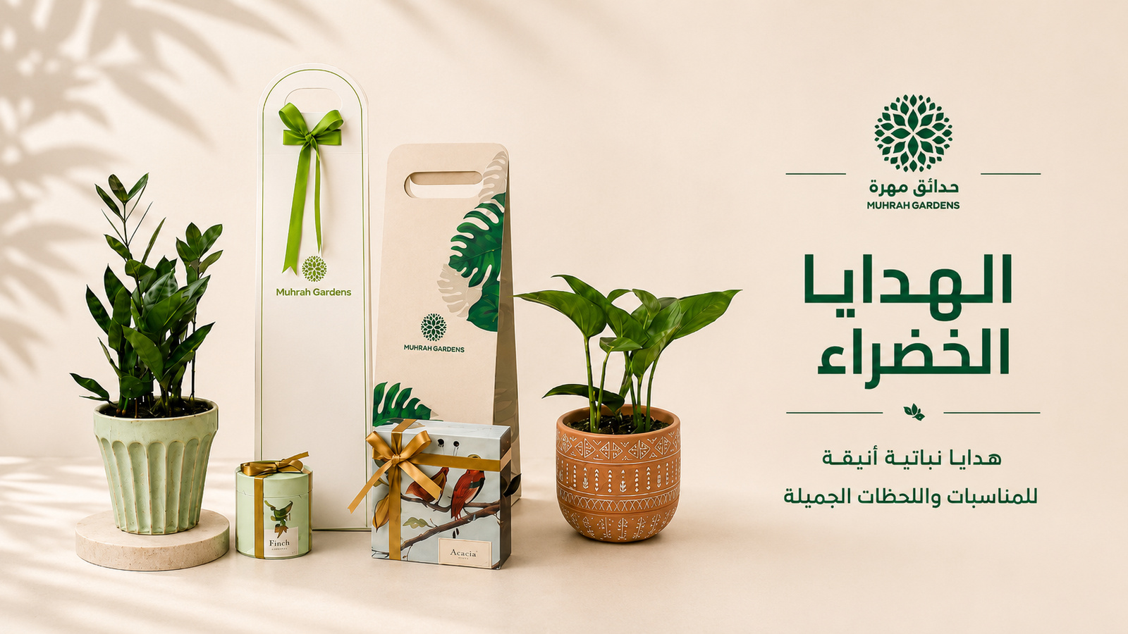 cover_image