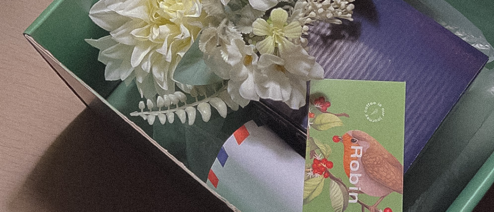 cover_image