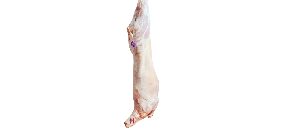 cover_image