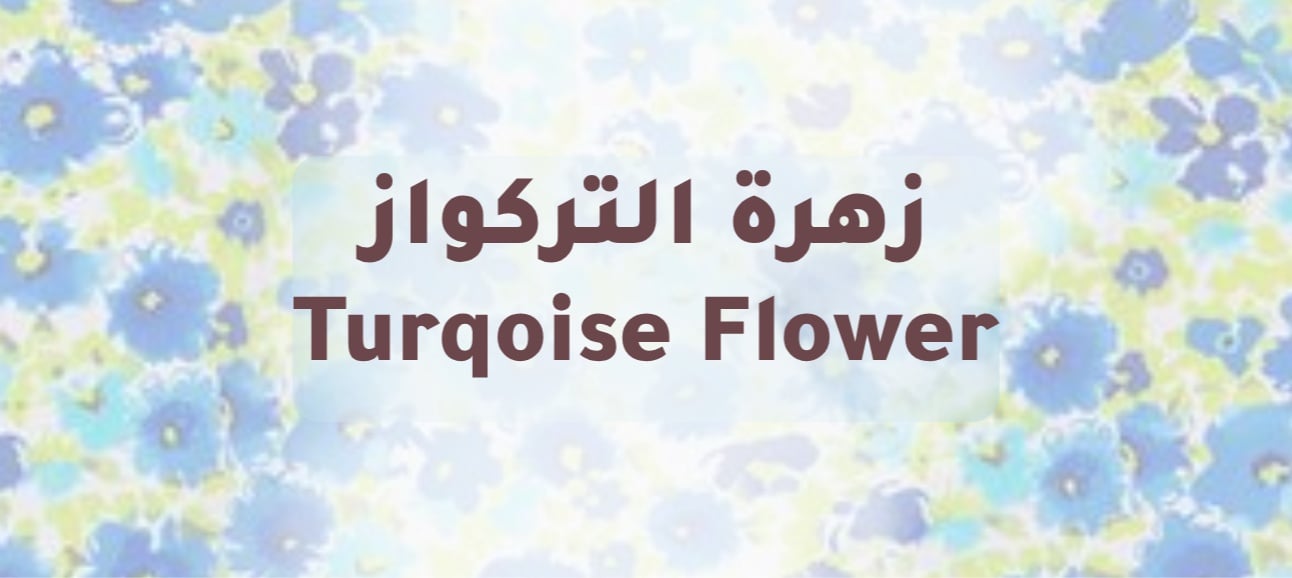 زهرة التركواز