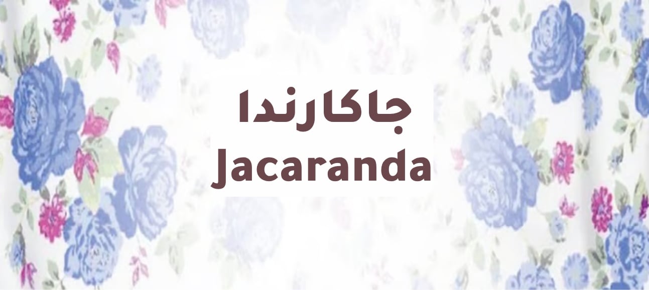 Jacaranda
