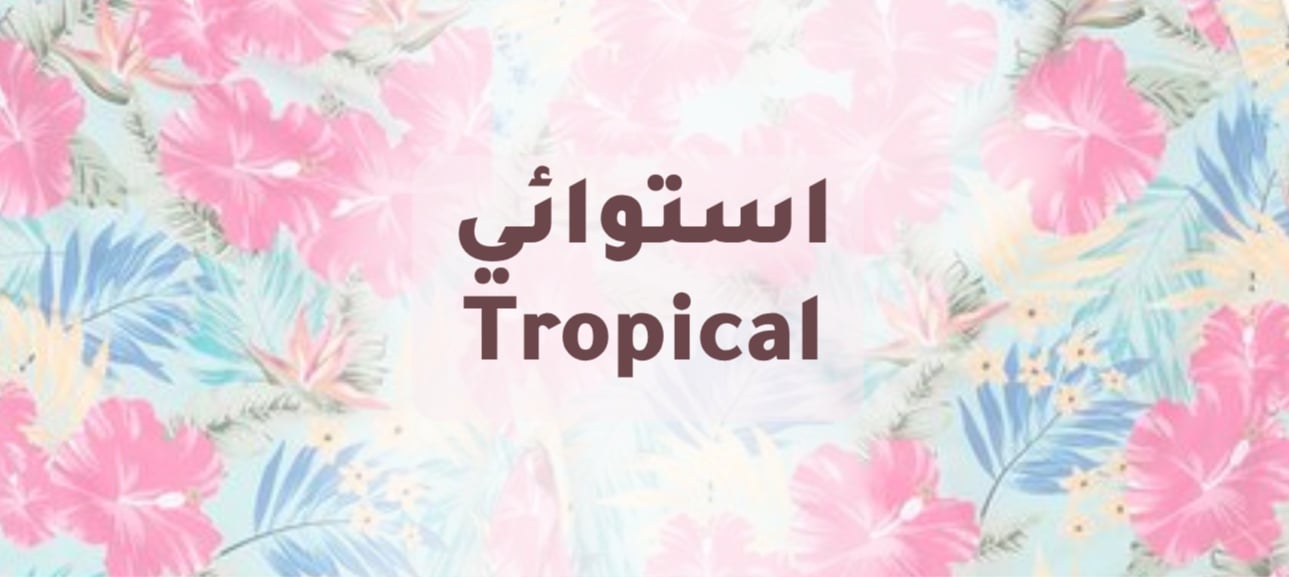 استوائي