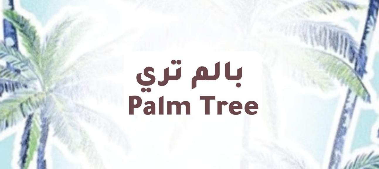 Palm Tree