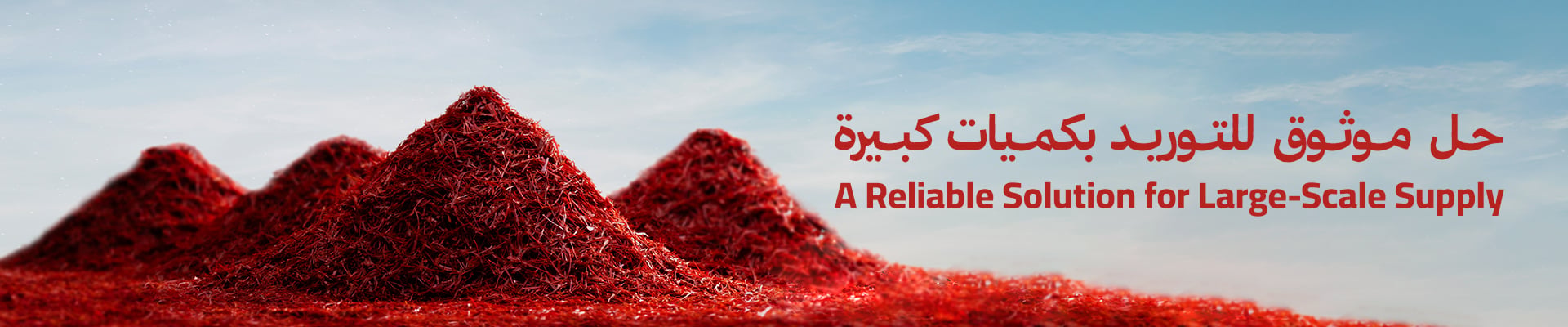 طلبات الجملة