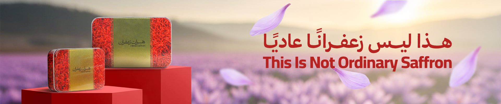 الزعفران الفاخر