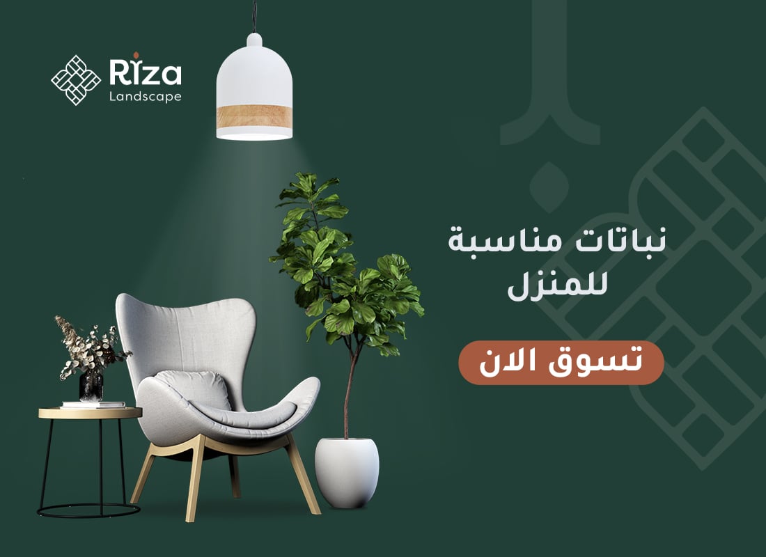 ads banner