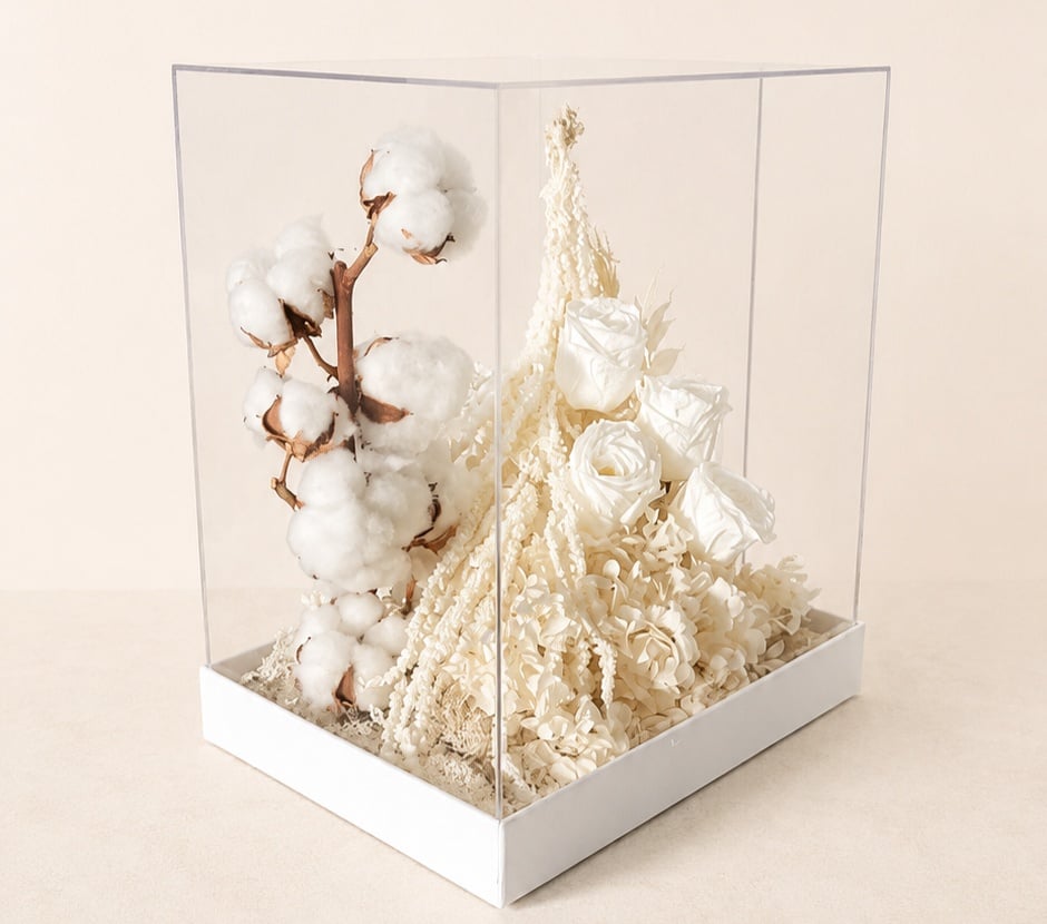 Acrylic Boxes