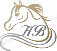 HORSE BEAUTY