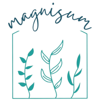 MAGNISUM ACADEMY