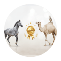 المنتجات الاكثر مبيعآ