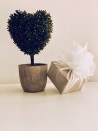 GIFT WRAP #7 - Image 1