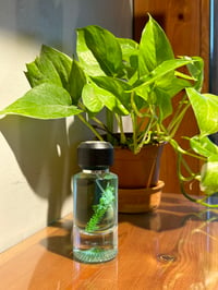 عطر 2022 ,50 مل - صورة 1