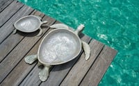 Luxury Trays Set of a Sea Turtle (Mother & Baby) - صورة 1