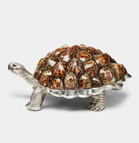 Limited Edition Galapagos Tortoise Decorative Box with Limpet Shells - صورة 1