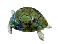 Small Sea Turtle Light Aqua Shell Box - صورة 3