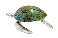 Large Sea Turtle Light Aqua Shell Box - صورة 7