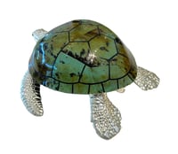 Large Sea Turtle Light Aqua Shell Box - صورة 4