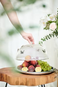 Set of Food Butterfly Cover with Round Plate - صورة 1