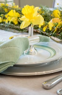 Set of 6.Napkins & 6.Flowers Glass Tubes Holder - صورة 5