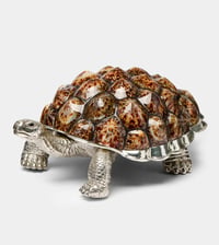 Limited Edition Galapagos Tortoise Decorative Box with Limpet Shells - صورة 2
