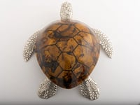 Large Sea Turtle Tiger Color Shell Box - صورة 9