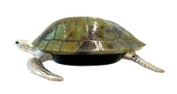 Small Sea Turtle Light Aqua Shell Box - صورة 5