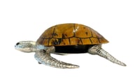 Large Sea Turtle Tiger Color Shell Box - صورة 8