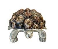 Limited Edition Galapagos Tortoise Decorative Box with Limpet Shells - صورة 10