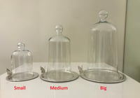 Big Cake Holder with Lid - SKU #. 31905 - صورة 7