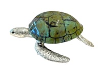 Large Sea Turtle Light Aqua Shell Box - صورة 2