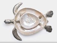 Luxury Trays Set of a Sea Turtle (Mother & Baby) - صورة 5