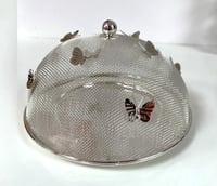 Set of Food Butterfly Cover with Round Plate - صورة 8