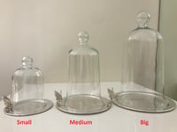Big Cake Holder with Lid - SKU #. 31905 - صورة 8