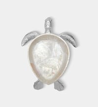 Luxury Trays Set of a Sea Turtle (Mother & Baby) - صورة 11