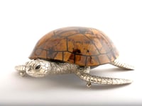 Large Sea Turtle Tiger Color Shell Box - صورة 2