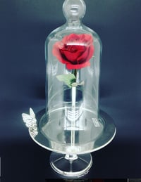 Medium Cake Stand with Butterfly on the Plate with Lid - صورة 1