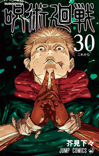Jujutsu Kaisen, Vol. 30 (Pre-Release Edition) - Image 1
