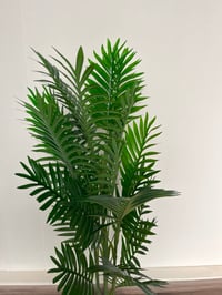 نخيل صناعي-120cm/29L - صورة 3