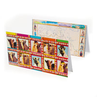 CAMEL SET (SAND RIDDLES book) - Image 1