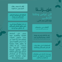 صباحات الإنجاز - صورة 4