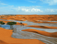 الشحمة - صورة 2