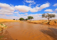 العصل (السعر حسب اختيارك للمتر) - صورة 2