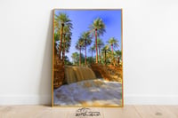 حكار مزرعه - صورة 3