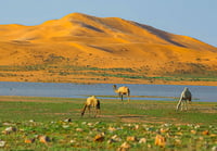 الامغر - صورة 3