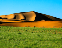 نقا بالدهنا - صورة 2