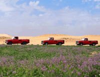 الجمس بالصمان - صورة 2