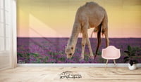 حوار وخزامى (السعر حسب اختيارك للمتر ) - صورة 1